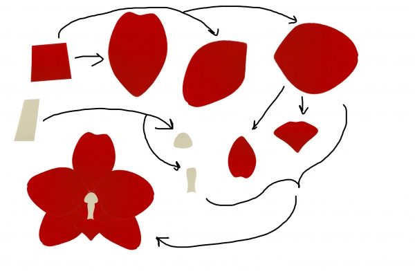 Creation of Plants: Step 1